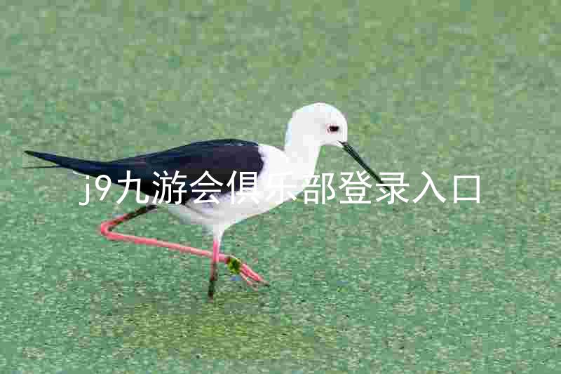 j9九游会俱乐部登录入口